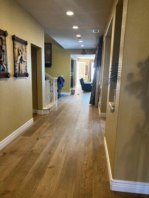 Alexander Painting And Drywall