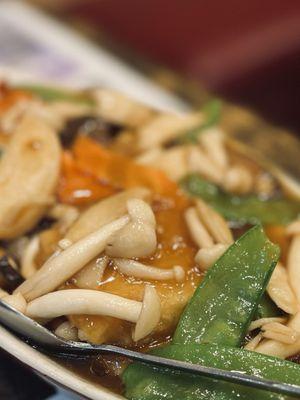 Fried tofu and mushrooms