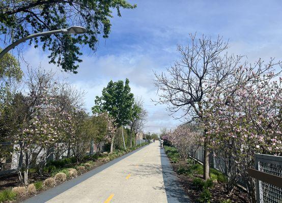 1982 Property Management