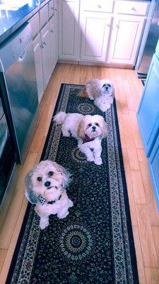 Avery's Auto Salvage