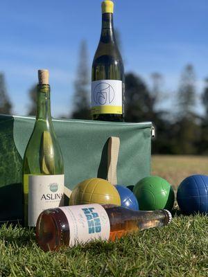 Piqué Wines to enjoy on a warm day!