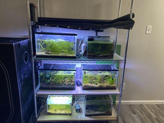 Drew’s Aquatic Realm