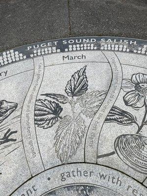 Duwamish Hill Preserve