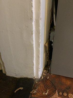 E & G Exterminators