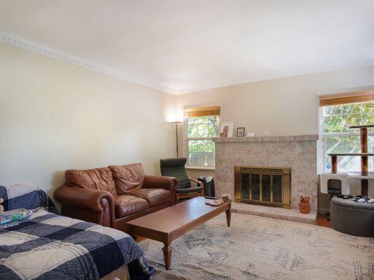 Andrew Bush Photographer