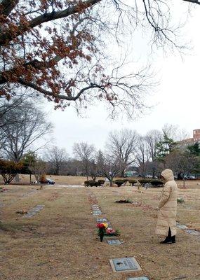 Maple Grove Cemetery