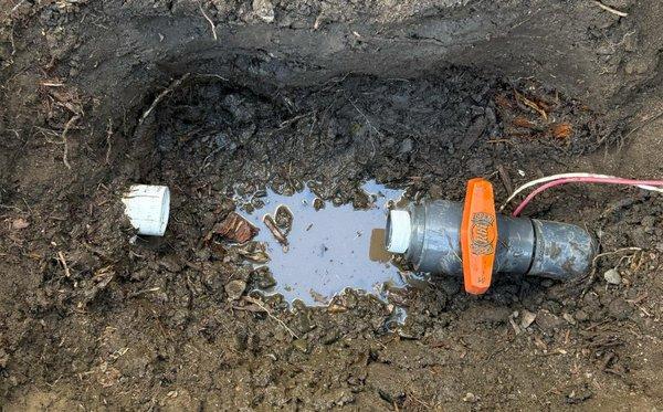 Baylands Landscape Management