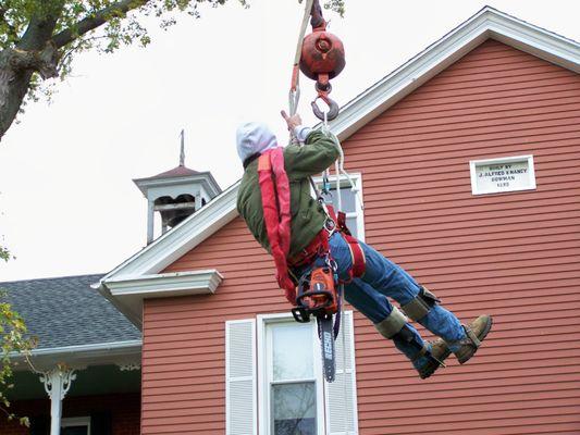 Samuelson's Tree Service