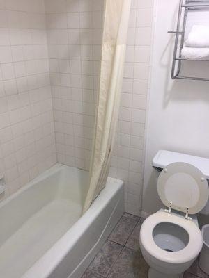 Dirty tub shower curtain and toilet seat... do you see the ring?