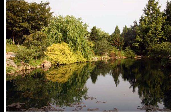 Shimizu Landscape Design