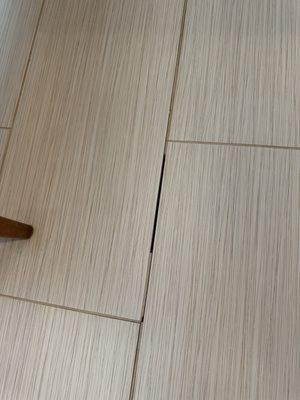 Green Planet Carpet Care