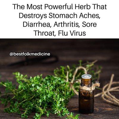 Alternative Therapy And Nutrition  Functional Medicine