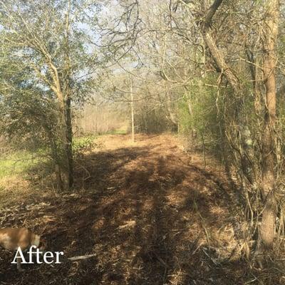 ClearView Land Management