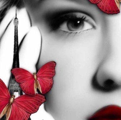 Social butterfly school of etiquette