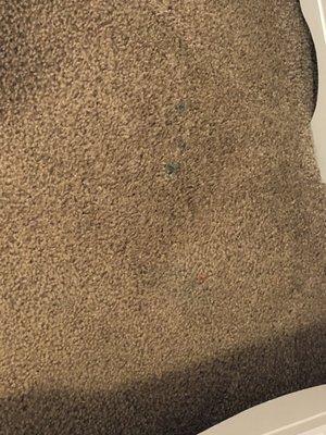 JC Carpet & Upholstery Cleaning