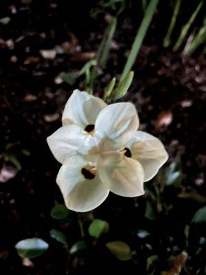 Powell Entertainment Studios