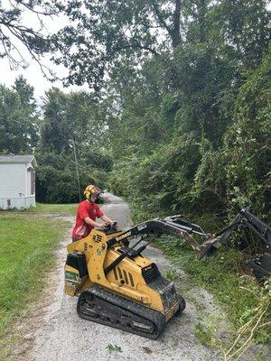 Solid Roots Tree Service