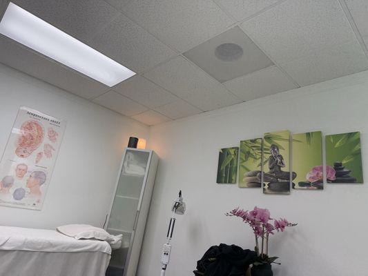 Negin Rostam, LAC RD