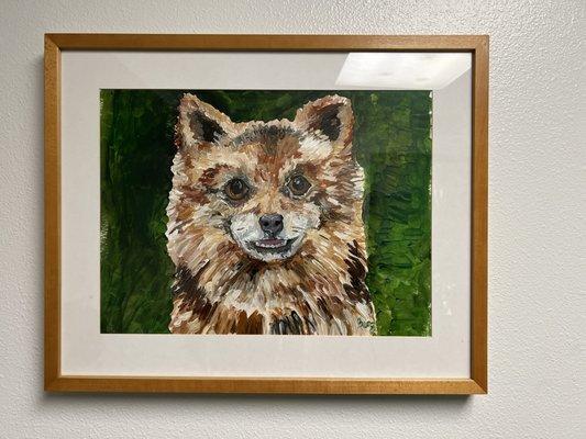 Sunset Cliffs Animal Hospital