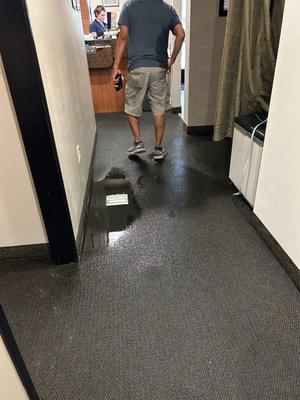 Junk Jaguars Junk Removal