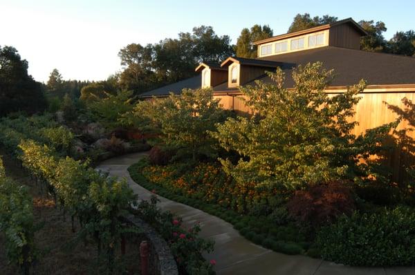 Neal Family Vineyards