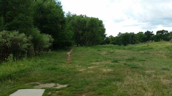 Widefield Community Park Disc Golf Course