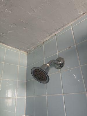 Unclean shower, THERE WAS ALSO MOLD ON THE BOTTOM OF THE SHOWER CURTAIN