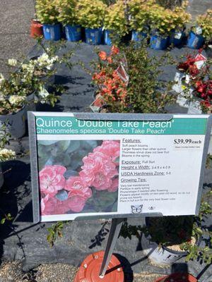 Moose Crossing Garden Center