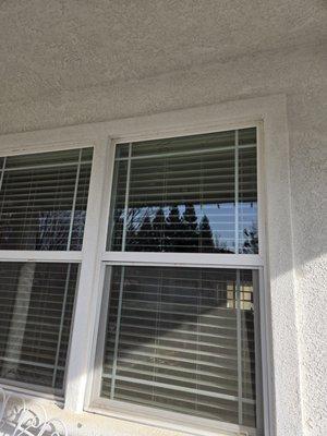 James Cooper Tree Service And Stump Grinding