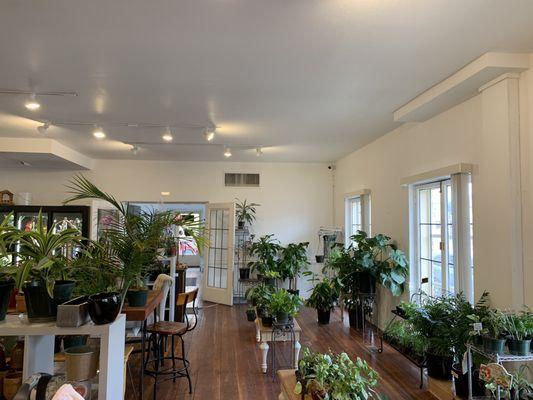 The larger room has a beautiful array of more plants, as well as flowers, balloons and cards