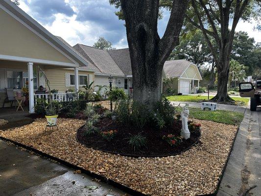 Premiere Land Transformations