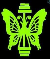 STRONG WOMEN ARE BEAUTIFUL!!!