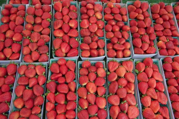 Grand Farmers Market