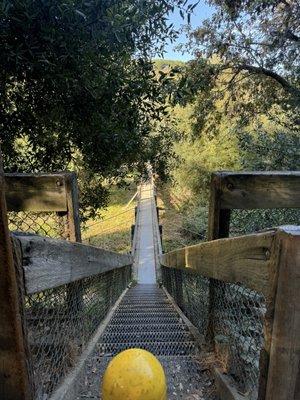 Bridge to the Bicycle Loop and to Lake Chabot
