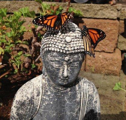 Compassion - Hope - Transformation