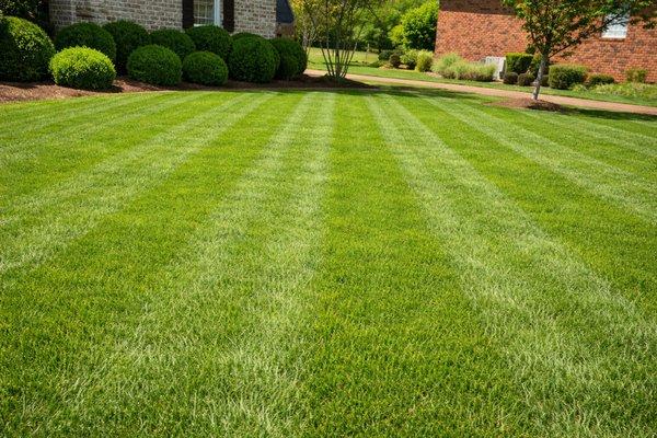 West Edge Outdoor Services