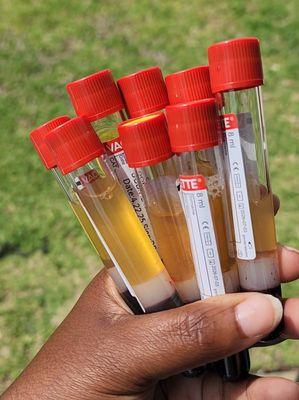 Ready Stat Go Mobile Services