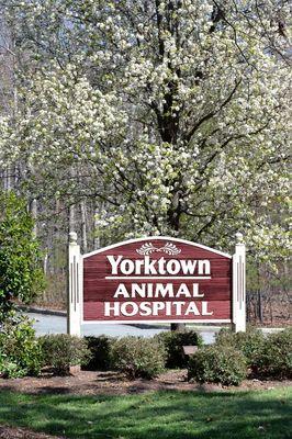 Yorktown Animal Hospital