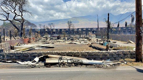 Photo taken Aug 10, 2023 by DCP