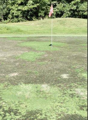 Pine Ridge Golf Club