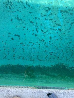 Powerhouse Pool Care and Repair