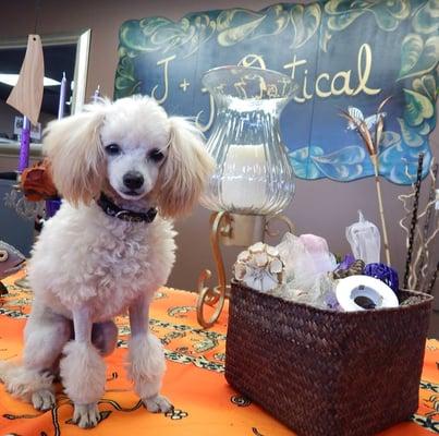 Remember: You've got friends in eye places!