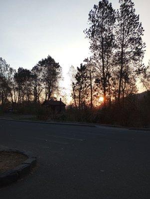 Sandy River Delta Park