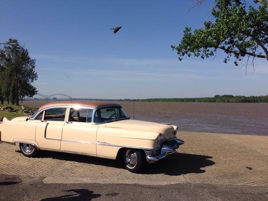 American Dream Safaries