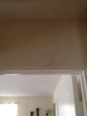 Worst Home Inspectors!!!