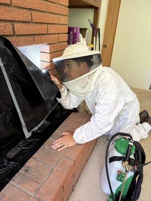 Looking in my fireplace and covering it up