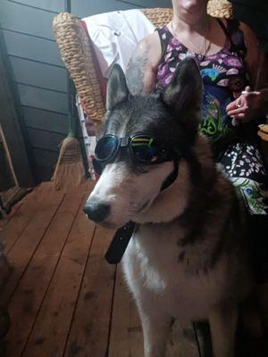 Willamette Valley Animal Hospital - Gladstone