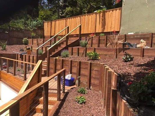 M V Tree Care & Conservation