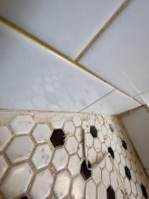 Before deep clean and restoration.