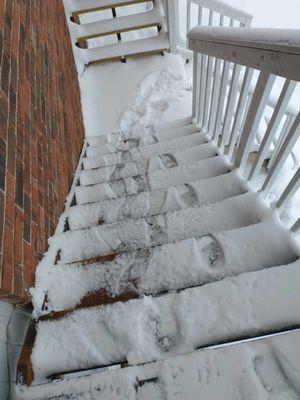 Granite Student Living
